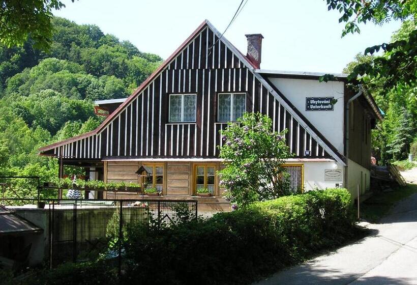 پانسیون Ubytování 113