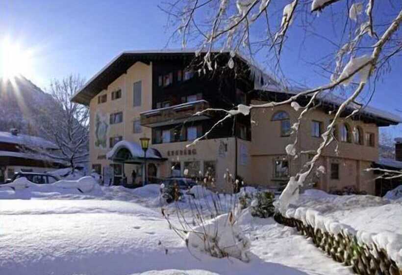 Alpenhotel Ernberg