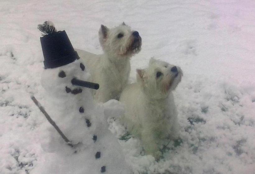 Alpenhotel Tauernstüberl