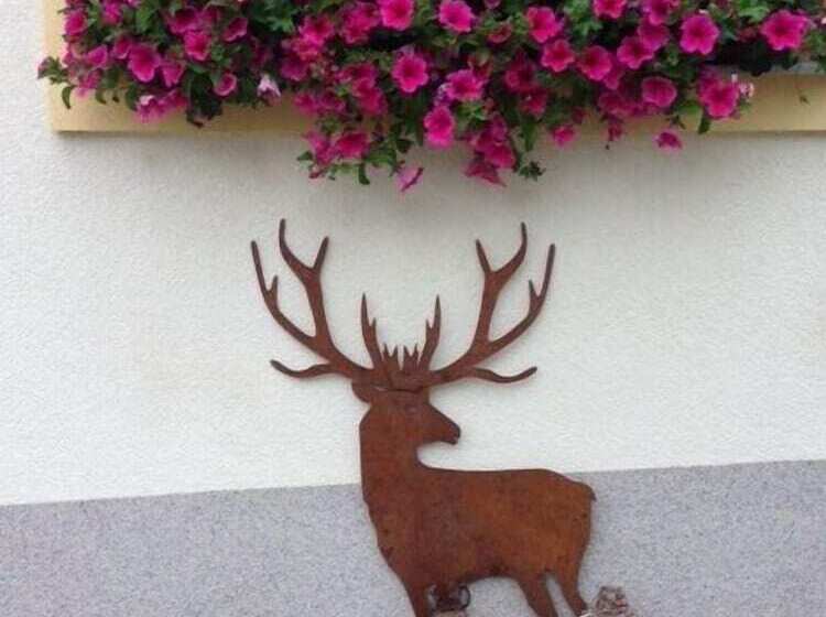 Aparthotels Berwang, Haus Cornelia En Haus Wiesengrund