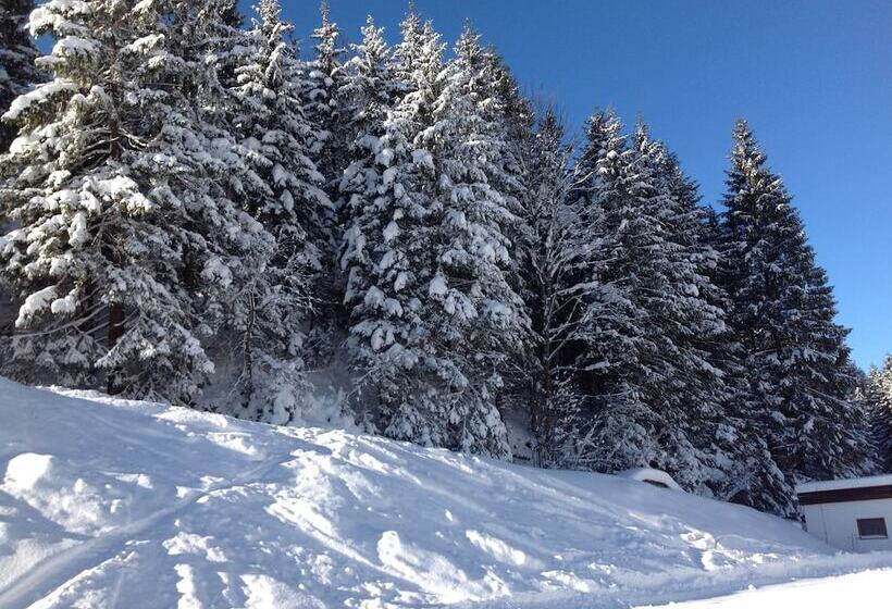 Aparthotels Berwang, Haus Cornelia En Haus Wiesengrund