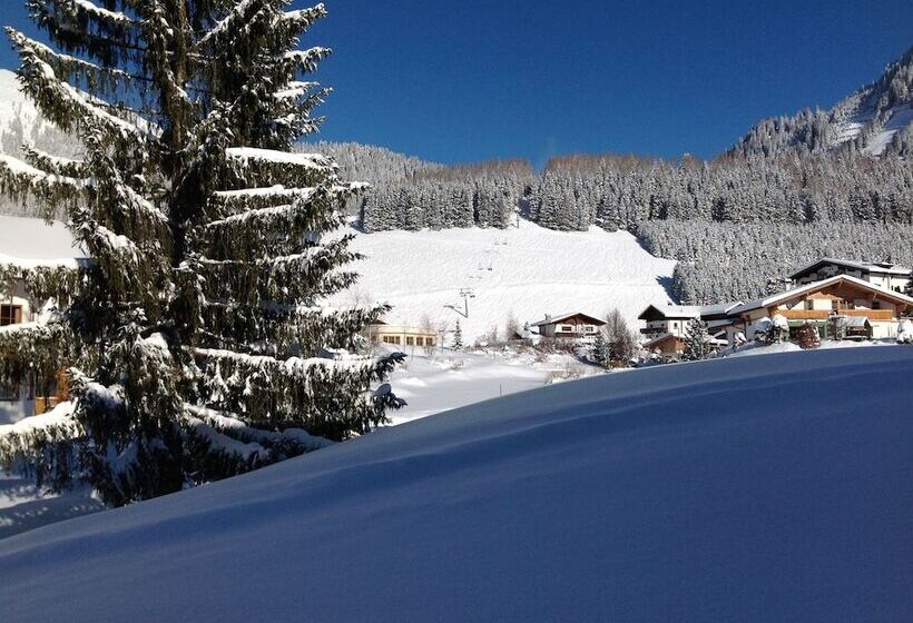 Aparthotels Berwang, Haus Cornelia En Haus Wiesengrund