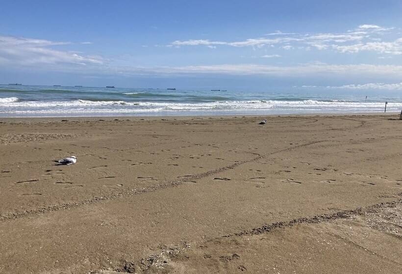 Bed and Breakfast Oasis Lagoon Estate