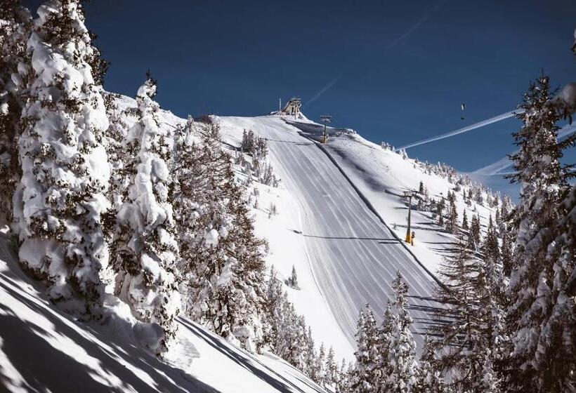 Die Barbara Appartements & Zimmer