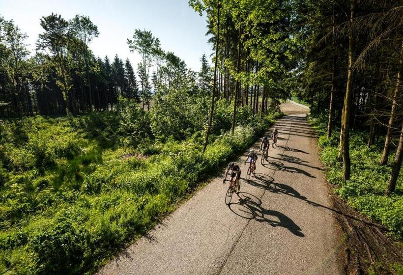 Отель Alexandra