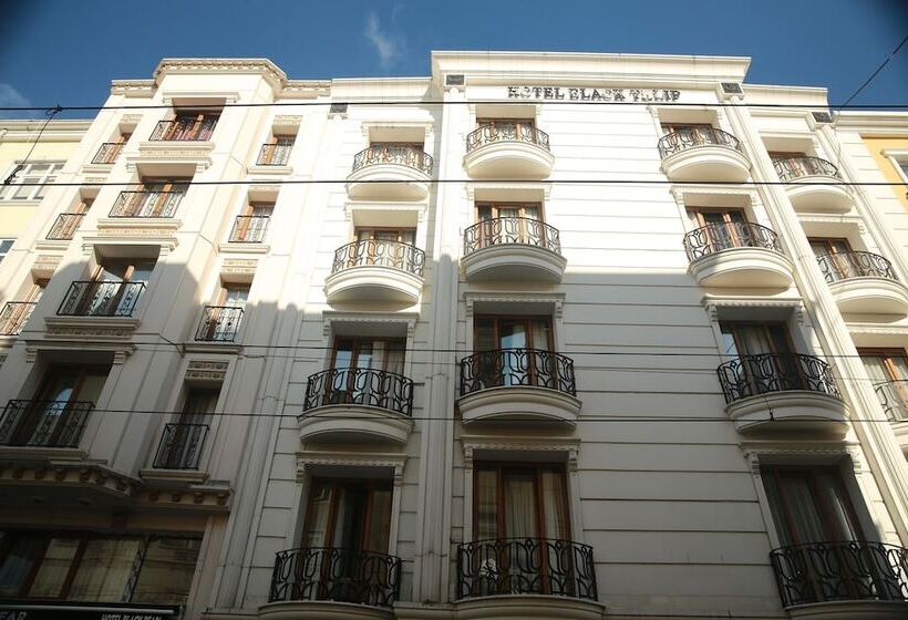 هتل Black Tulip