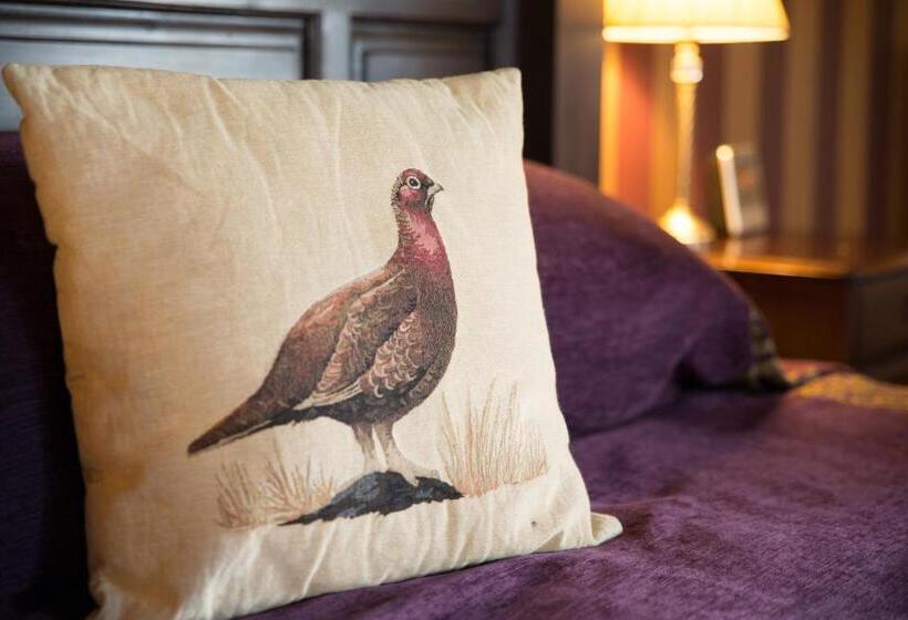 فندق Blackaddie House