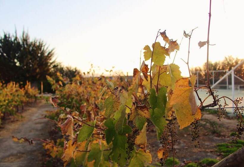 ホテル Casablanca Spa & Wine