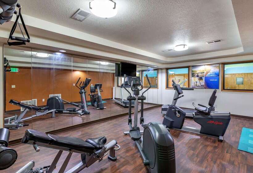 ホテル Comfort Inn & Suites Cedar Rapids North  Collins Road