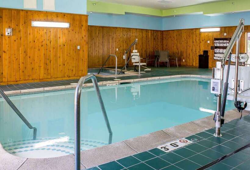 ホテル Comfort Inn & Suites Cedar Rapids North  Collins Road