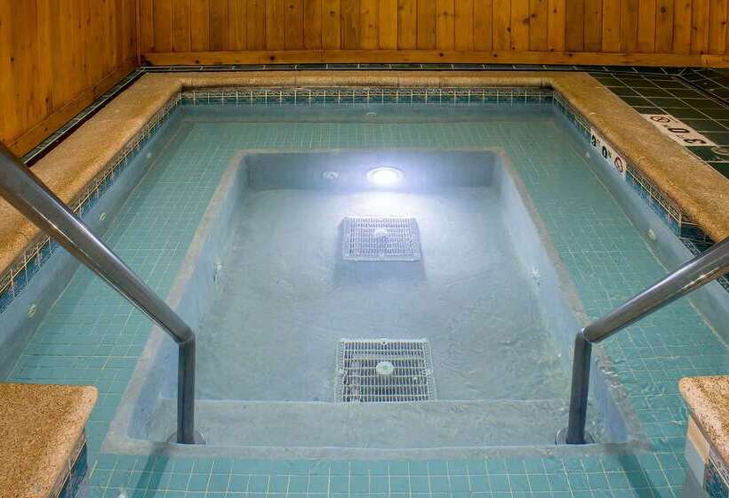 ホテル Comfort Inn & Suites Cedar Rapids North  Collins Road