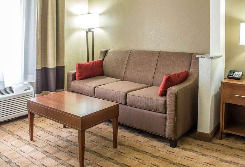 ホテル Comfort Inn & Suites Cedar Rapids North  Collins Road