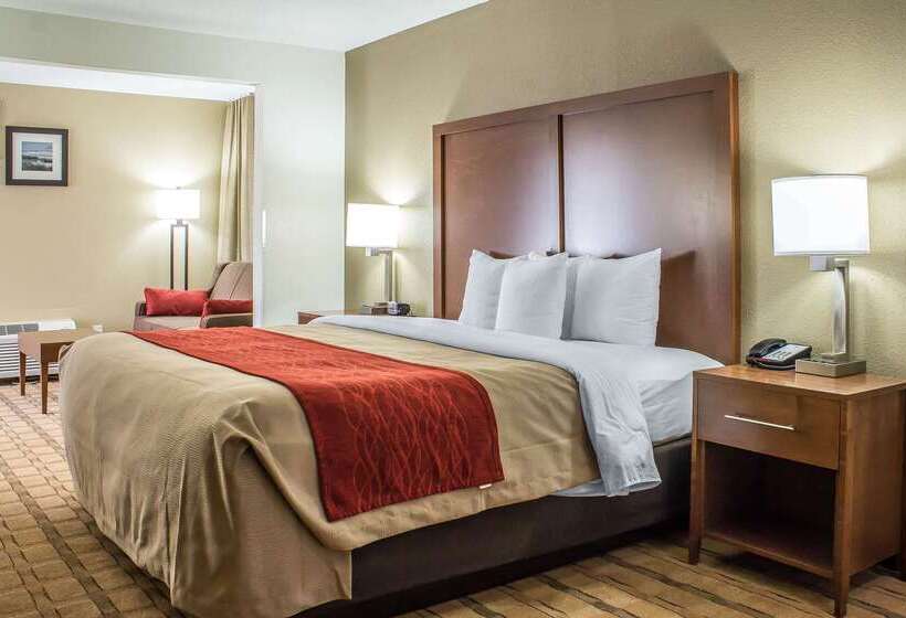 ホテル Comfort Inn & Suites Cedar Rapids North  Collins Road