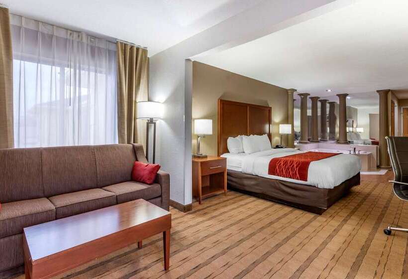 ホテル Comfort Inn & Suites Cedar Rapids North  Collins Road