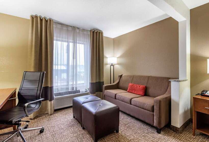 ホテル Comfort Inn & Suites Cedar Rapids North  Collins Road