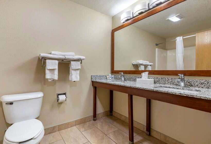 ホテル Comfort Inn & Suites Cedar Rapids North  Collins Road