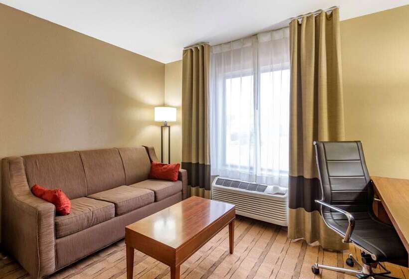 ホテル Comfort Inn & Suites Cedar Rapids North  Collins Road