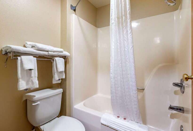 ホテル Comfort Inn & Suites Cedar Rapids North  Collins Road