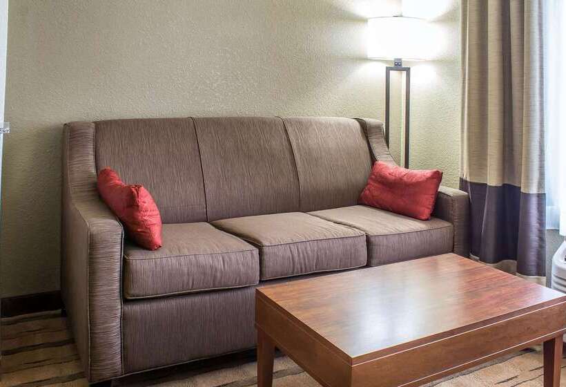 ホテル Comfort Inn & Suites Cedar Rapids North  Collins Road