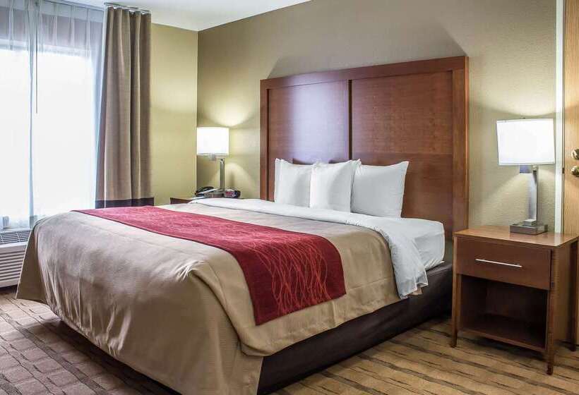 בית מלון כפרי Comfort Inn & Suites Cedar Rapids North  Collins Road