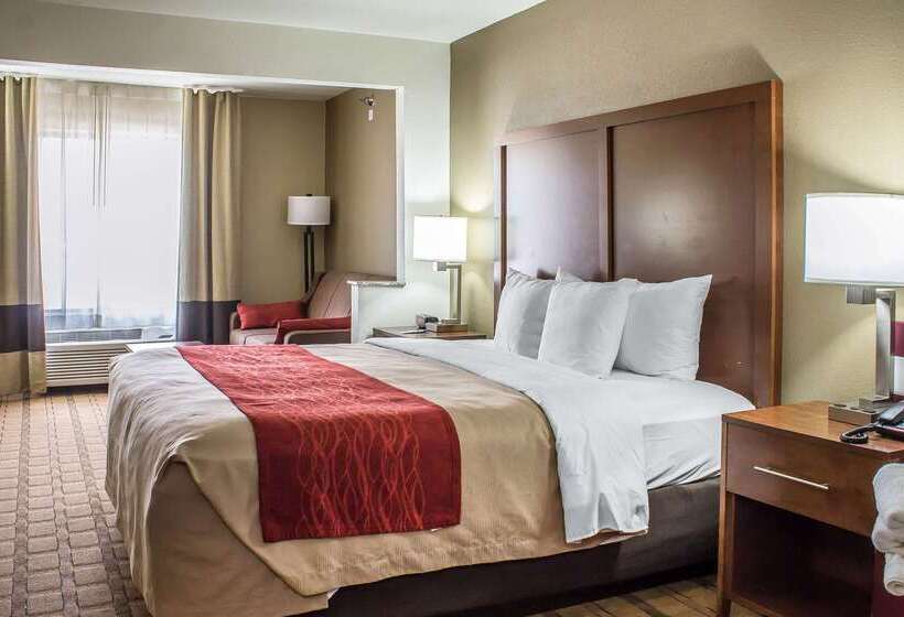 ホテル Comfort Inn & Suites Cedar Rapids North  Collins Road