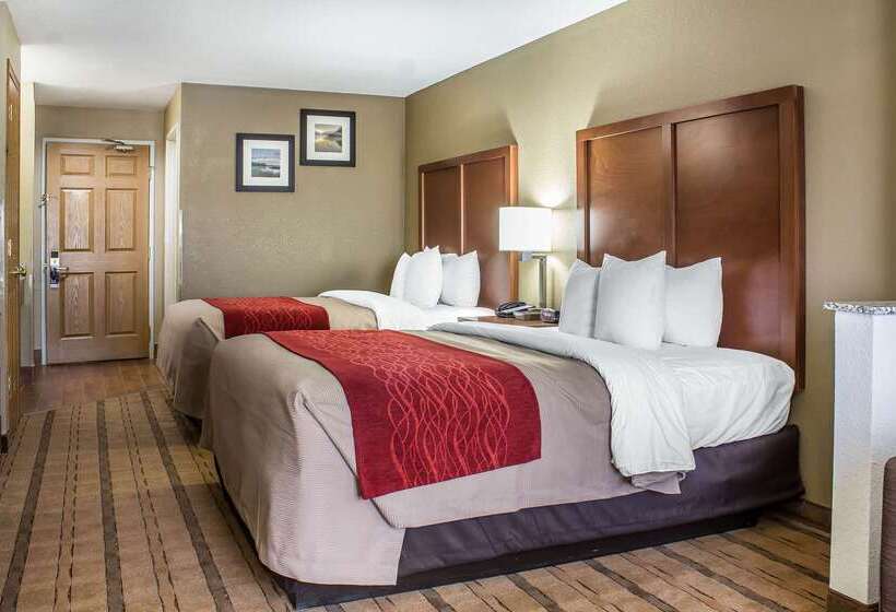 ホテル Comfort Inn & Suites Cedar Rapids North  Collins Road