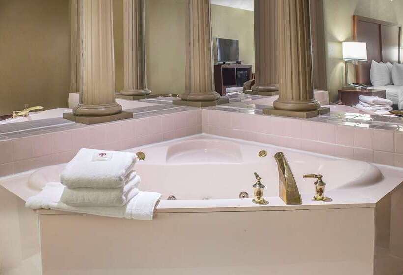 ホテル Comfort Inn & Suites Cedar Rapids North  Collins Road