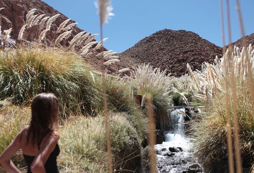 ホテル Explora En Atacama   All Inclusive