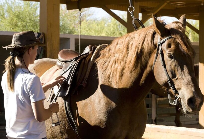 ホテル Explora En Atacama   All Inclusive