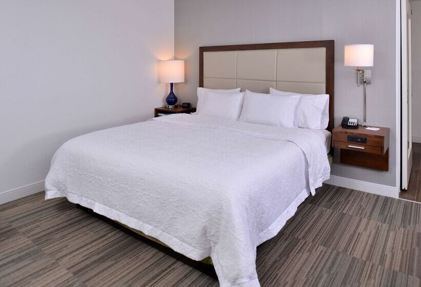 ホテル Hampton Inn & Suites Ann Arbor West