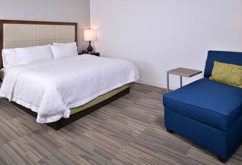ホテル Hampton Inn & Suites Ann Arbor West