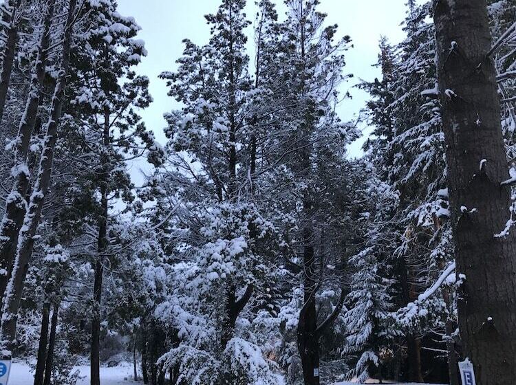 ホテル Huinid Pioneros