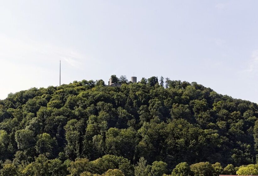 Hotel Ibis Styles Nagold Schwarzwald