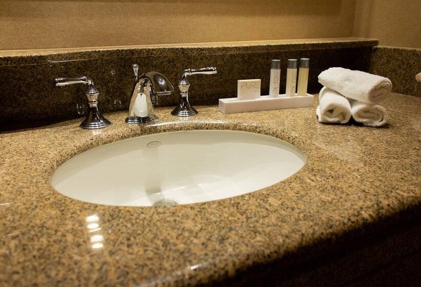 Isle Casino Hotel Waterloo