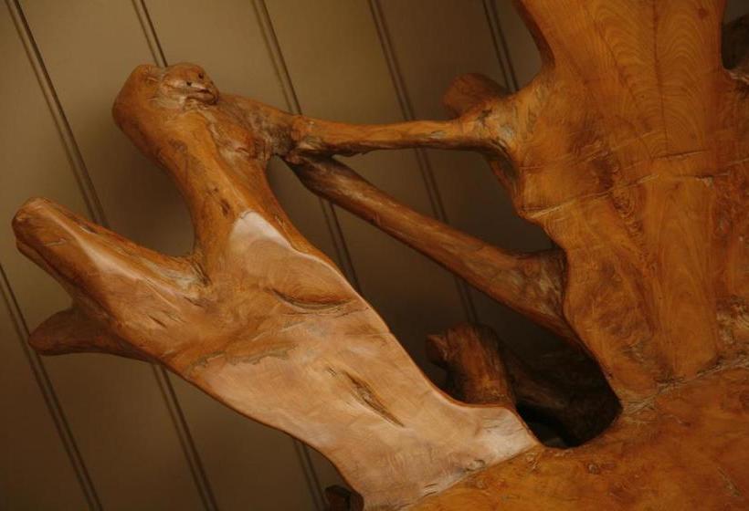 酒店 Netherstowe House