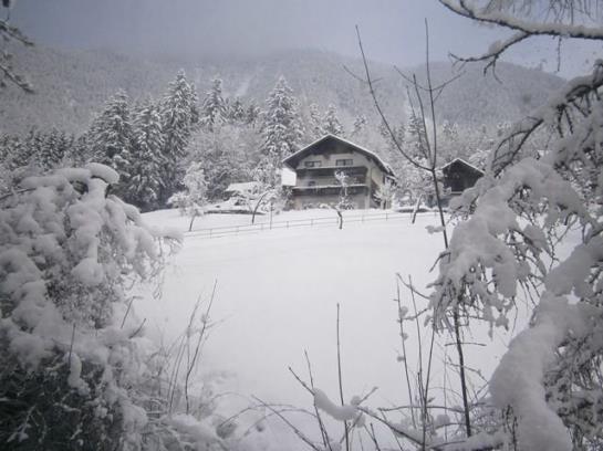 Отель Obertrauner Hof