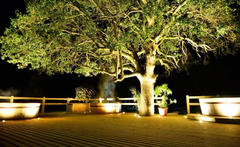 בית מלון כפרי Pucon Green Park