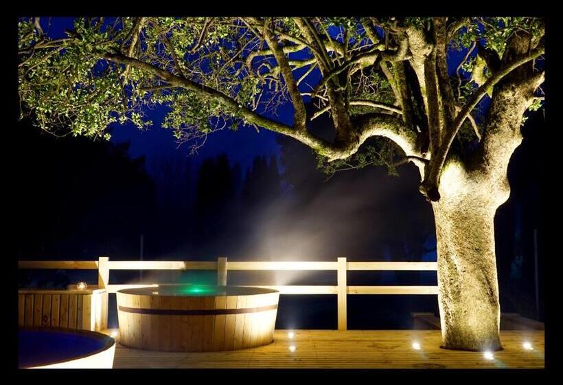 בית מלון כפרי Pucon Green Park