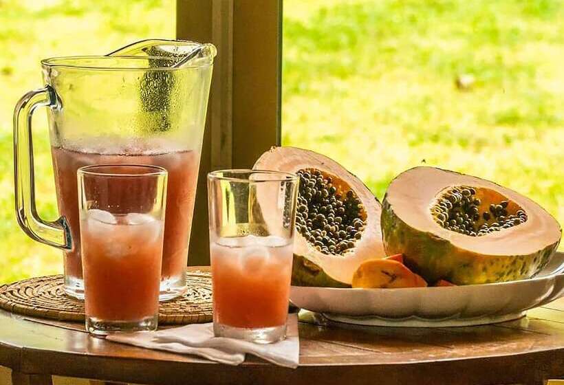 Apart Hotel Rapa Nui