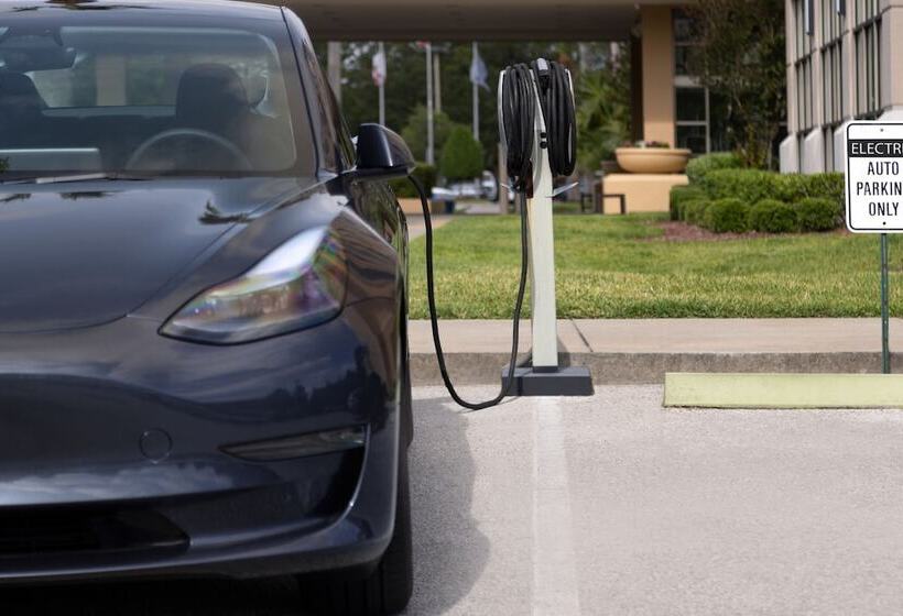 酒店 Sheraton Jacksonville