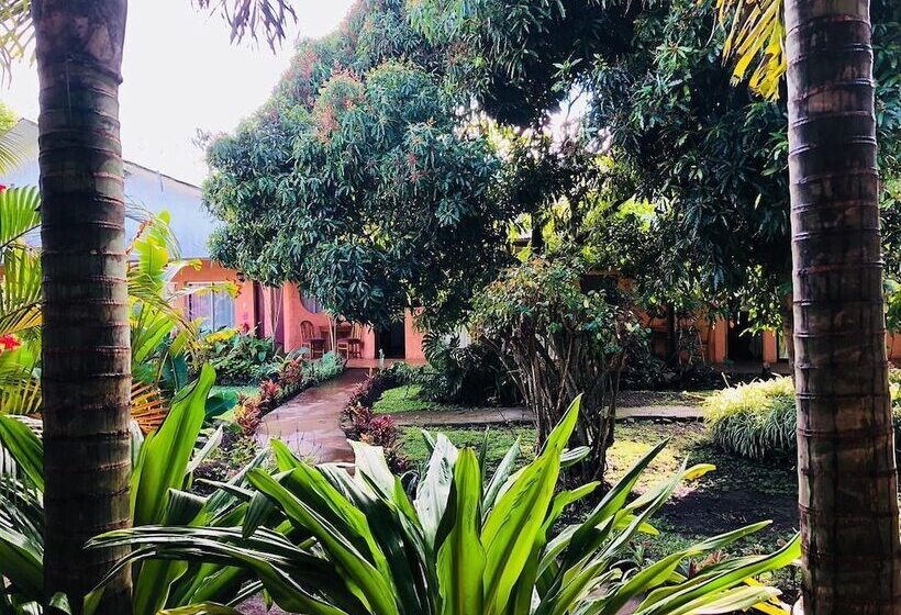 فندق Taina Rapa Nui