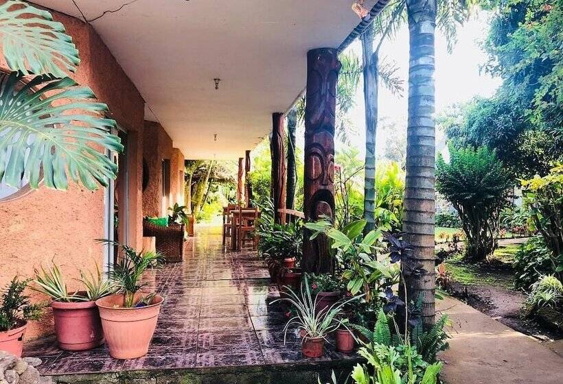 فندق Taina Rapa Nui