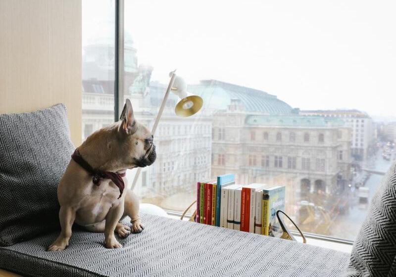 هتل The Guesthouse Vienna