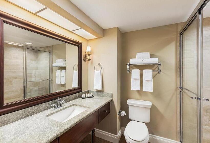 Отель The Waterfront Inn