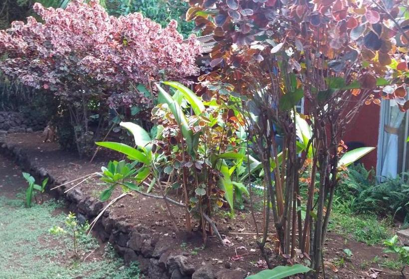 בית מלון כפרי Tupa