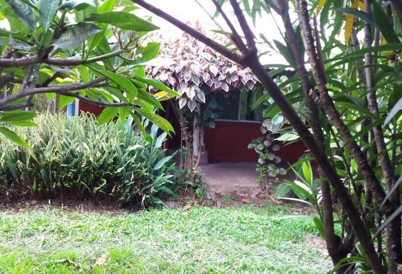 בית מלון כפרי Tupa