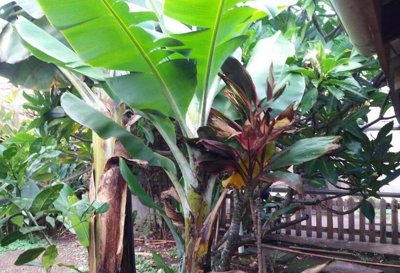 בית מלון כפרי Tupa