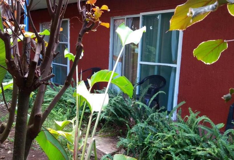 בית מלון כפרי Tupa