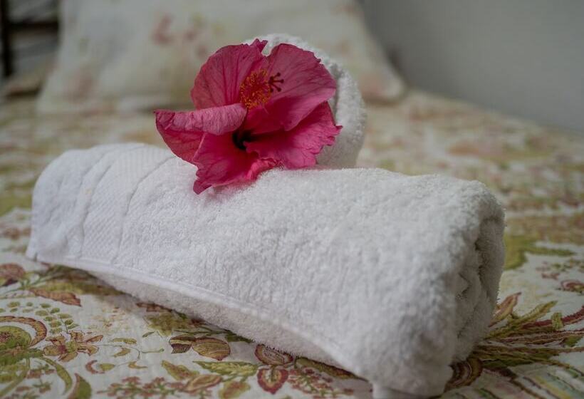 בית מלון כפרי Tupa