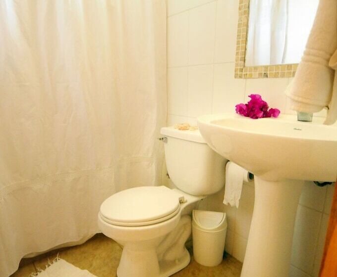 호텔 Y Cabañas Tea Nui